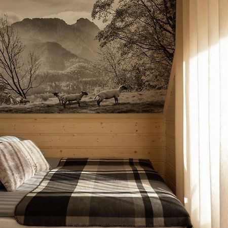 Tatra Chalet Krupowki 77A Закопане Экстерьер фото